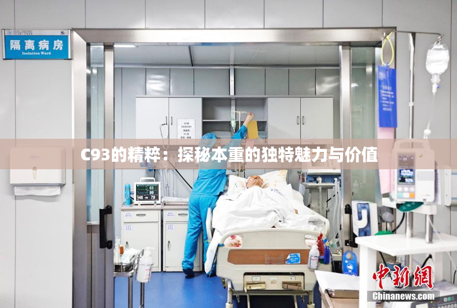 C93的精粹：探秘本重的独特魅力与价值