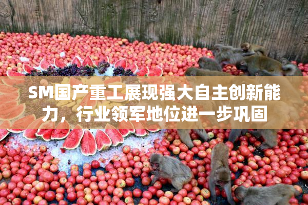 SM国产重工展现强大自主创新能力，行业领军地位进一步巩固
