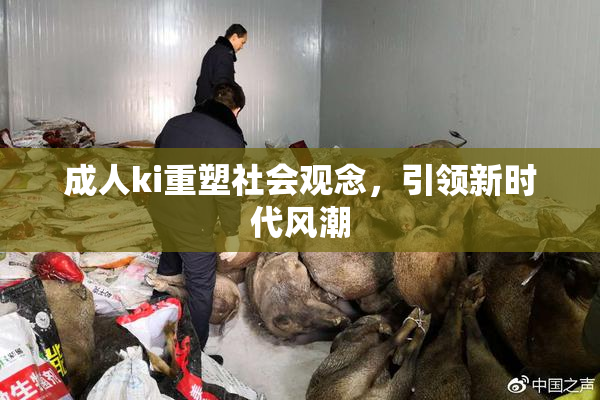 成人ki重塑社会观念，引领新时代风潮