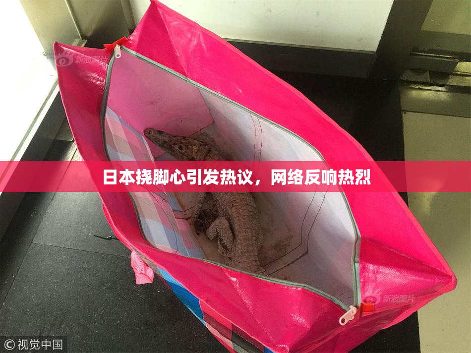 日本挠脚心引发热议，网络反响热烈