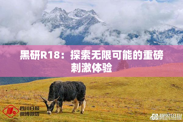 黑研R18：探索无限可能的重磅刺激体验