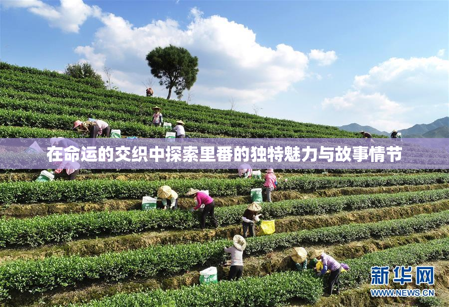 在命运的交织中探索里番的独特魅力与故事情节
