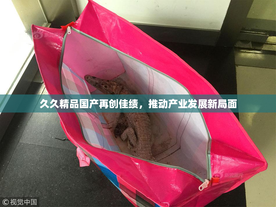 久久精品国产再创佳绩，推动产业发展新局面