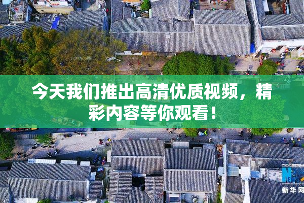 今天我们推出高清优质视频，精彩内容等你观看！