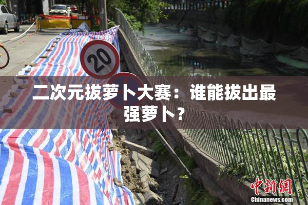 二次元拔萝卜大赛：谁能拔出最强萝卜？
