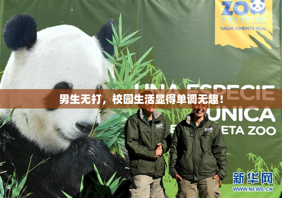 男生无打，校园生活显得单调无趣！
