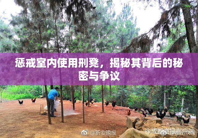 惩戒室内使用刑凳，揭秘其背后的秘密与争议