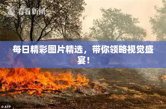 每日精彩图片精选，带你领略视觉盛宴！