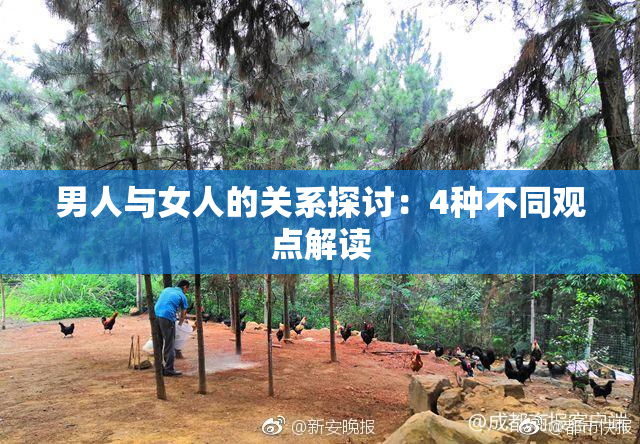 男人与女人的关系探讨：4种不同观点解读