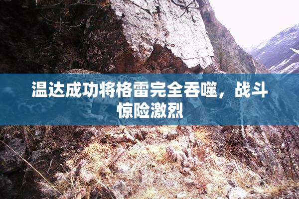 温达成功将格雷完全吞噬，战斗惊险激烈