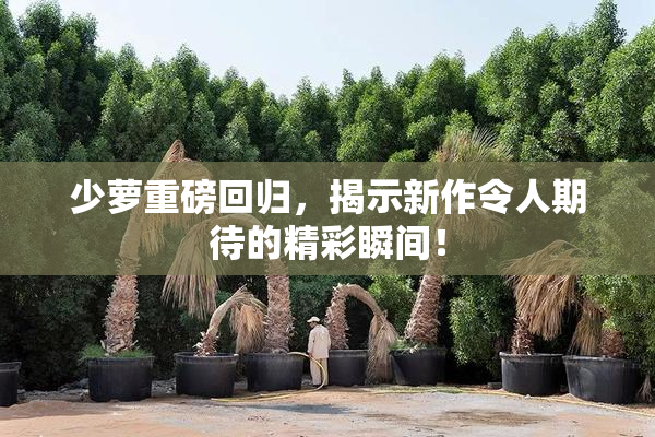 少萝重磅回归，揭示新作令人期待的精彩瞬间！
