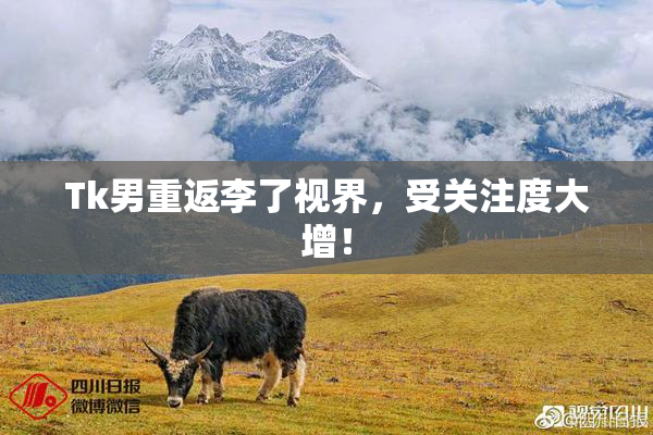 Tk男重返李了视界，受关注度大增！