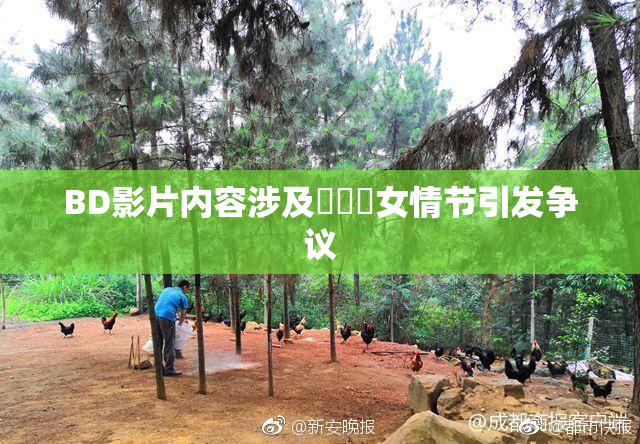 BD影片内容涉及強姦處女情节引发争议