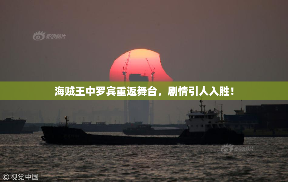 海贼王中罗宾重返舞台，剧情引人入胜！