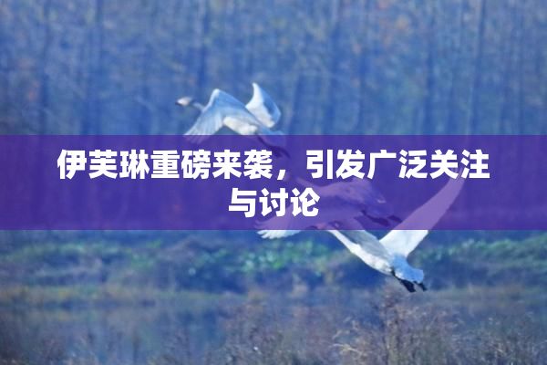 伊芙琳重磅来袭，引发广泛关注与讨论