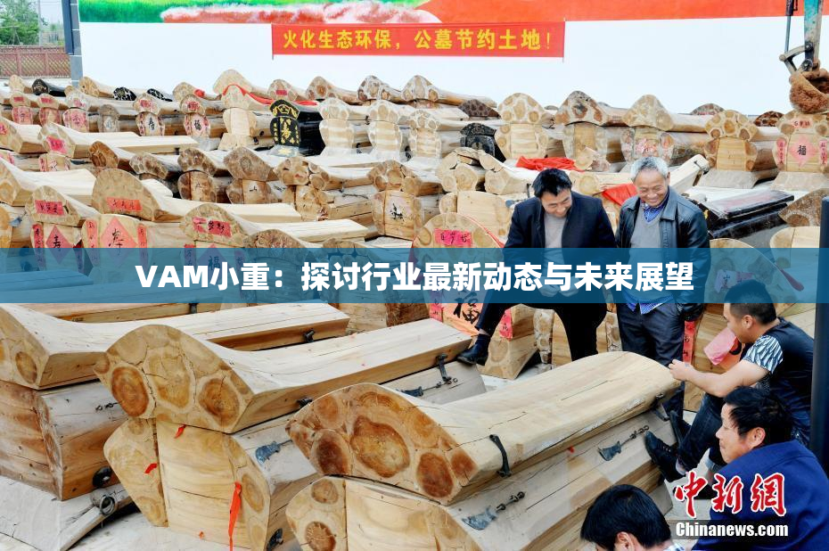 VAM小重：探讨行业最新动态与未来展望