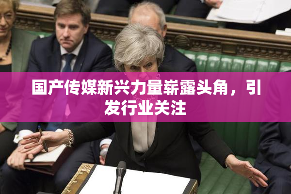 国产传媒新兴力量崭露头角，引发行业关注