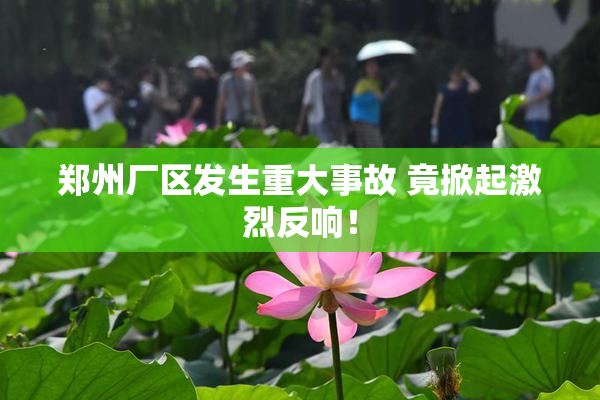 郑州厂区发生重大事故 竟掀起激烈反响！