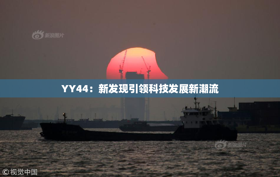 YY44：新发现引领科技发展新潮流