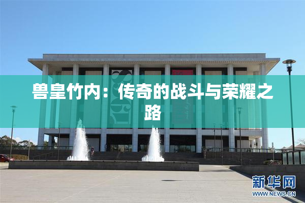 兽皇竹内：传奇的战斗与荣耀之路