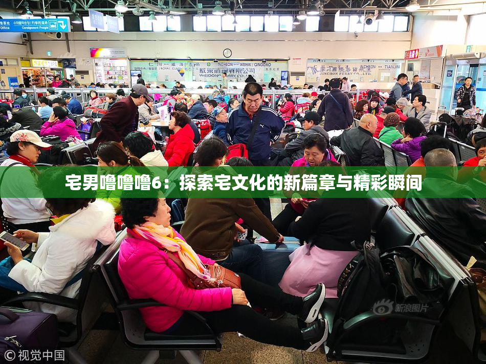 宅男噜噜噜6：探索宅文化的新篇章与精彩瞬间