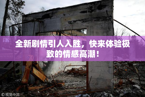 全新剧情引人入胜，快来体验极致的情感高潮！