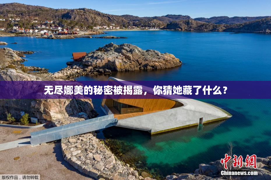 无尽娜美的秘密被揭露，你猜她藏了什么？