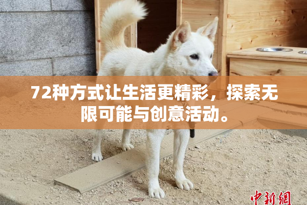72种方式让生活更精彩，探索无限可能与创意活动。