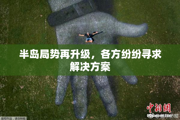 半岛局势再升级，各方纷纷寻求解决方案