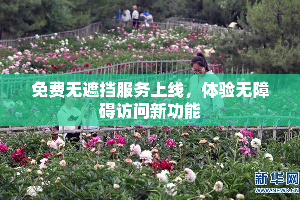 免费无遮挡服务上线，体验无障碍访问新功能