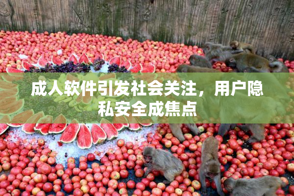 成人软件引发社会关注，用户隐私安全成焦点
