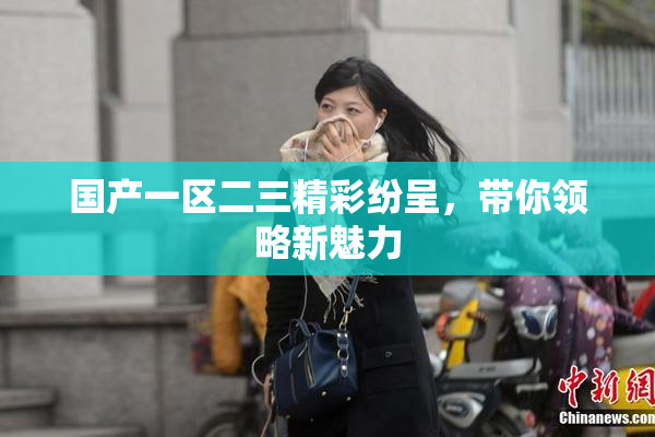国产一区二三精彩纷呈，带你领略新魅力