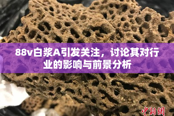 88v白浆A引发关注，讨论其对行业的影响与前景分析
