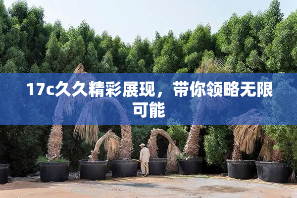 17c久久精彩展现，带你领略无限可能