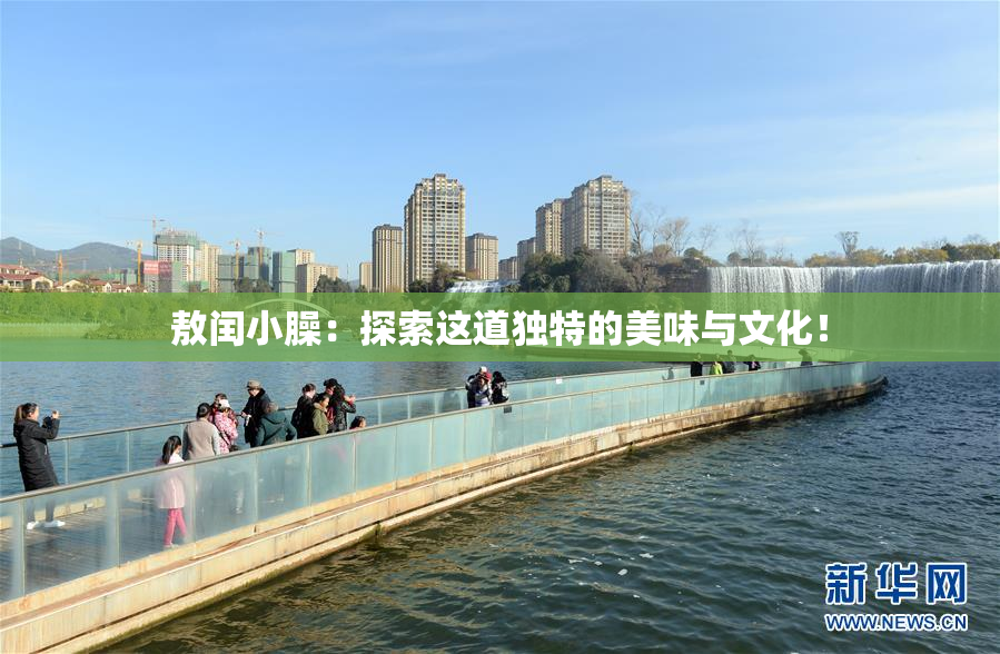 敖闰小臊：探索这道独特的美味与文化！