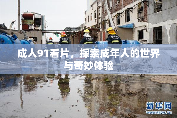 成人91看片，探索成年人的世界与奇妙体验