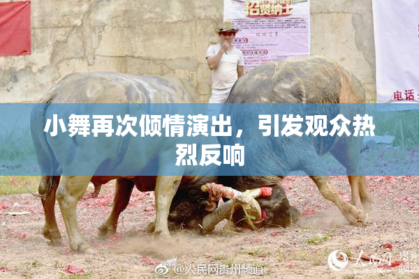 小舞再次倾情演出，引发观众热烈反响