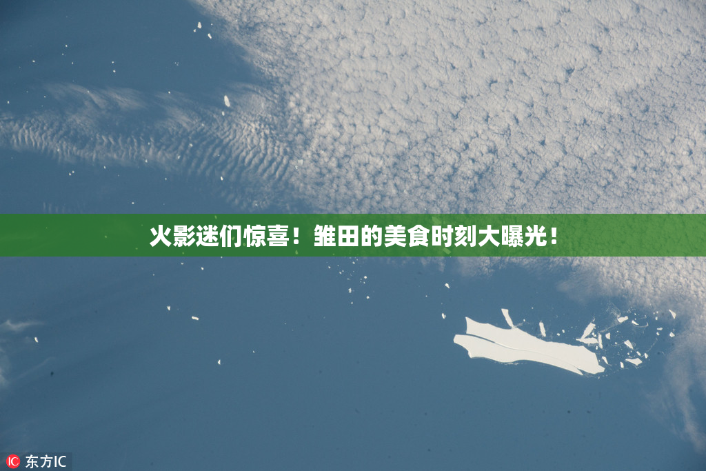 火影迷们惊喜！雏田的美食时刻大曝光！