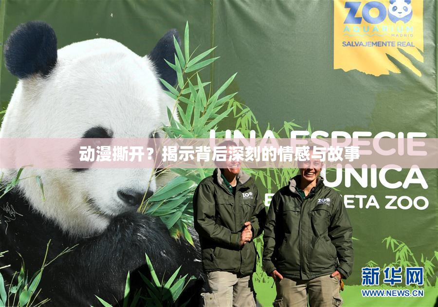 动漫撕开？揭示背后深刻的情感与故事