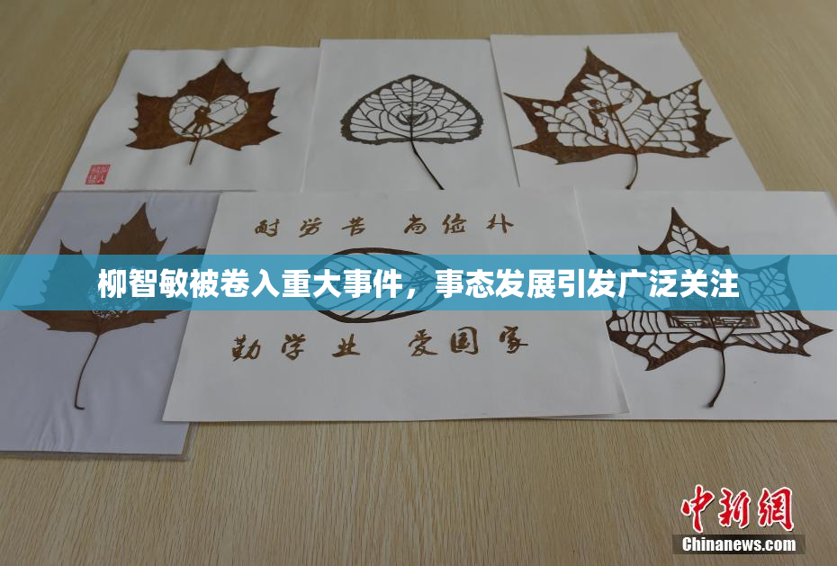 柳智敏被卷入重大事件，事态发展引发广泛关注