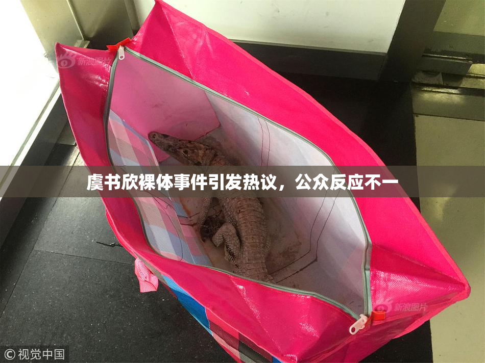 虞书欣裸体事件引发热议，公众反应不一