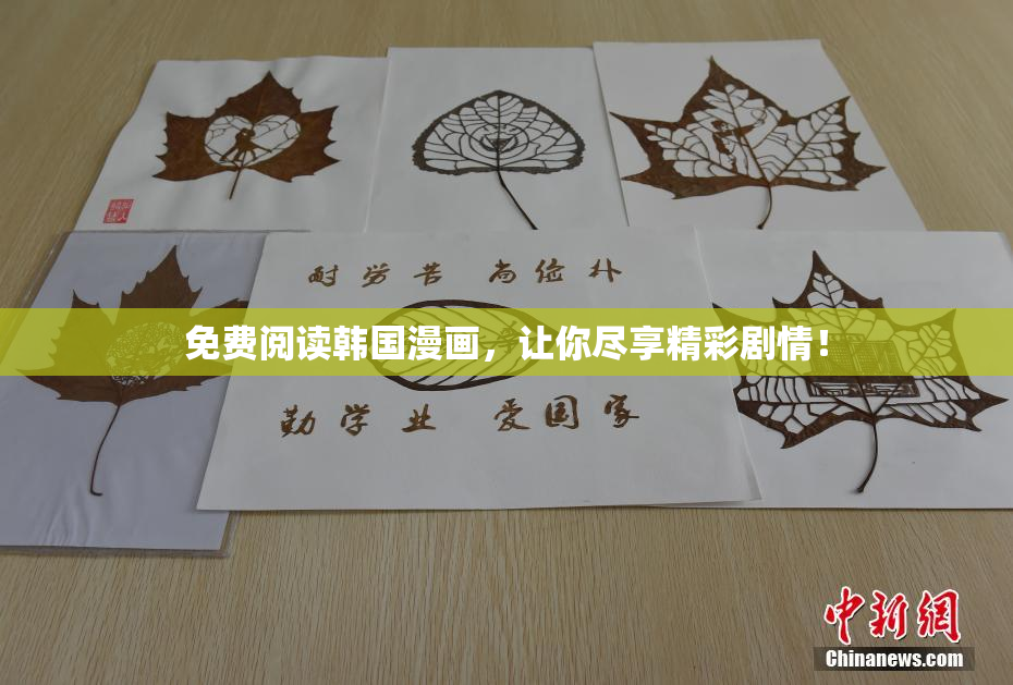 免费阅读韩国漫画，让你尽享精彩剧情！