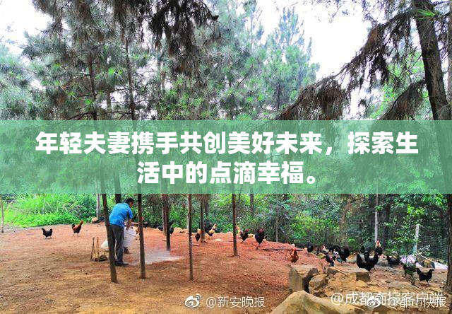 年轻夫妻携手共创美好未来，探索生活中的点滴幸福。