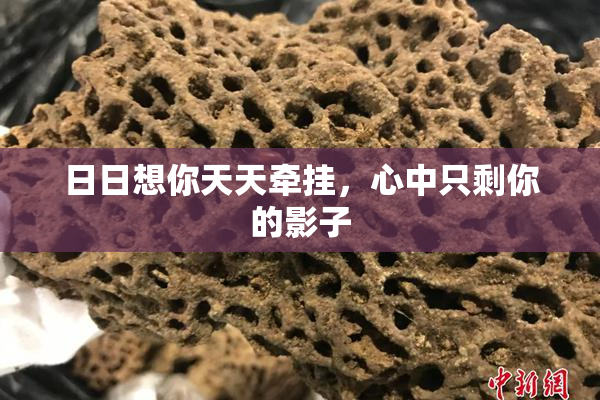 日日想你天天牵挂，心中只剩你的影子