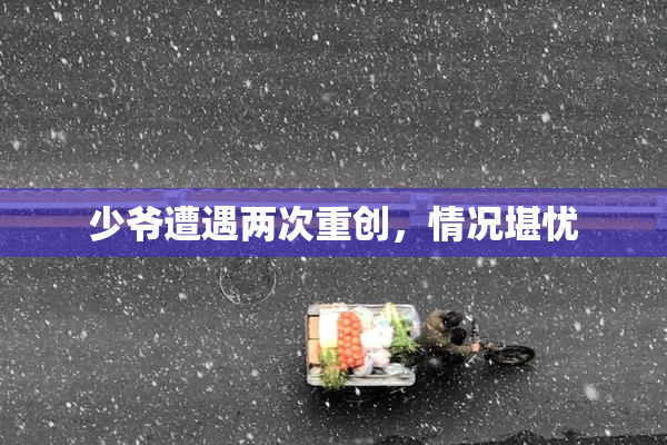 少爷遭遇两次重创，情况堪忧