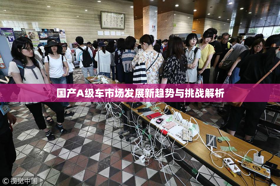 国产A级车市场发展新趋势与挑战解析
