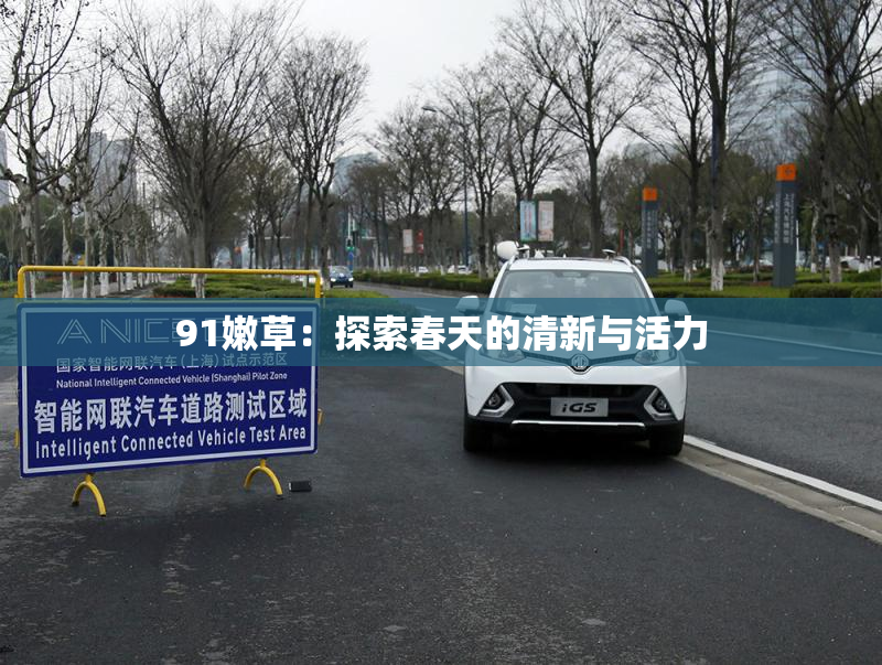 91嫩草：探索春天的清新与活力