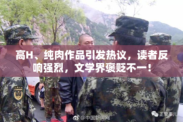 高H、纯肉作品引发热议，读者反响强烈，文学界褒贬不一！