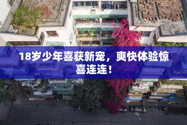 18岁少年喜获新宠，爽快体验惊喜连连！