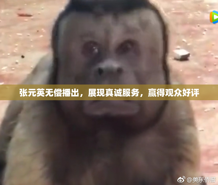 张元英无偿播出，展现真诚服务，赢得观众好评